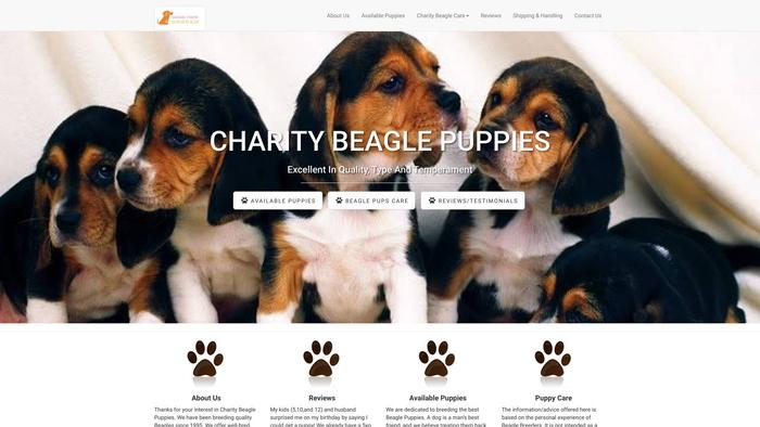 Charitybeaglepuppies.com - Beagle Puppy Scam Review