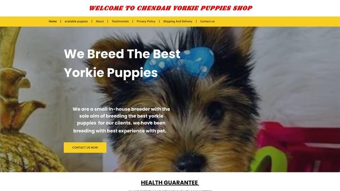 Chendahyork.com - Yorkshire Terrier Puppy Scam Review