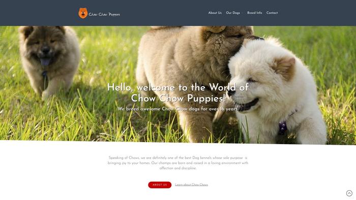 Chowchowpuppies.dog - Chowchow Puppy Scam Review