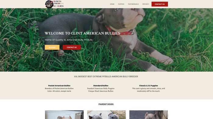 Clintsamericanbullies.com - English Bulldog Puppy Scam Review