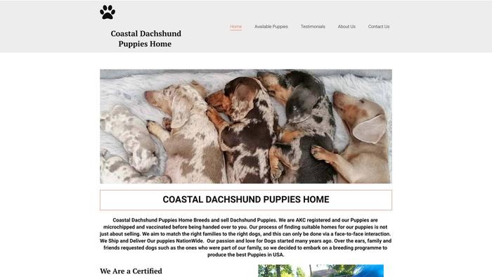 Coastaldachshundpuppieshome.com - Dachshund Puppy Scam Review