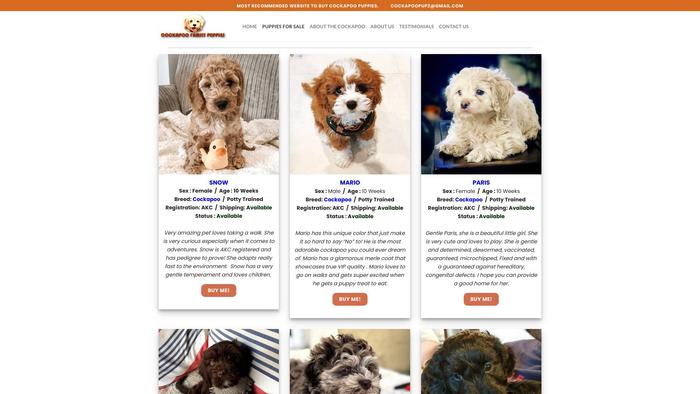 Cockapoofamily.com - Cockapoo Puppy Scam Review