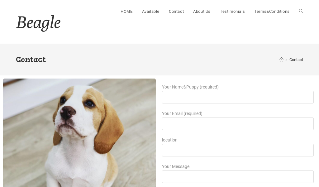 Cutebeaglehome.com - Beagle Puppy Scam Review