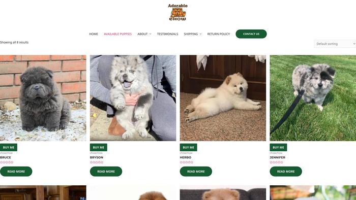 Cutechowchowpups.com - Chowchow Puppy Scam Review