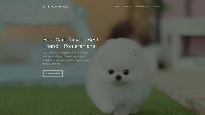 Cutefacepuppies.com - Pomeranian Puppy Scam Review