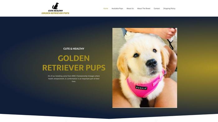 Cutehealthygoldenretrieverpups.com - Golden Retriever Puppy Scam Review