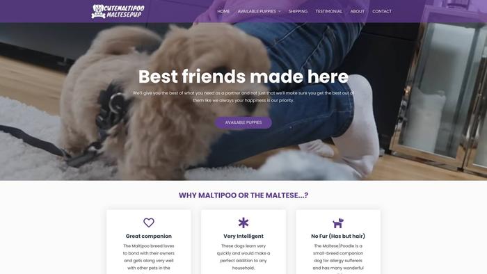 Cutemaltipoomaltesepup.com - Maltese Puppy Scam Review