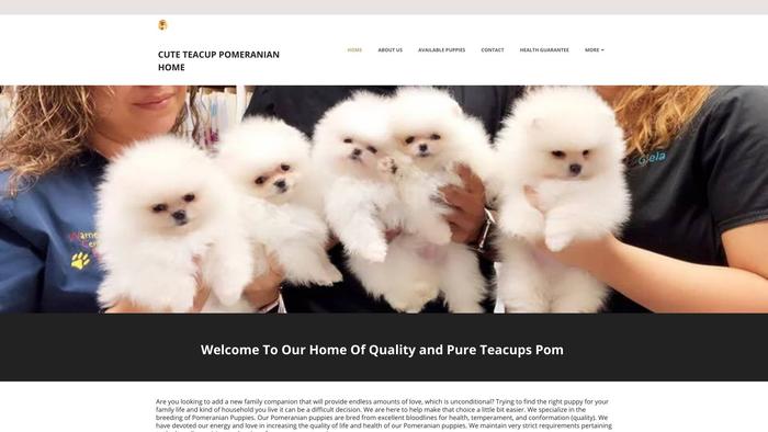 Cutestteacuppomeranian.com - Pomeranian Puppy Scam Review