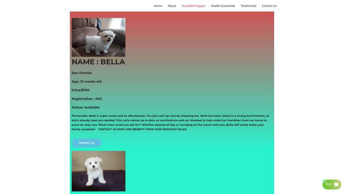 Cutexmasmaltesepuppieshome.com - Maltese Puppy Scam Review