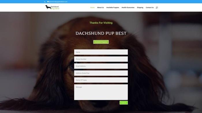 Dachshundpupbest.com - Dachshund Puppy Scam Review