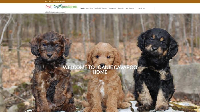 Dallycavapoohome.store - Cavapoo Puppy Scam Review