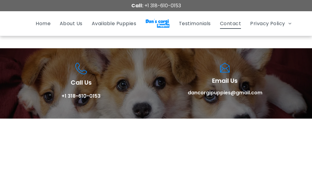 Danscorgi.com - Corgi Puppy Scam Review