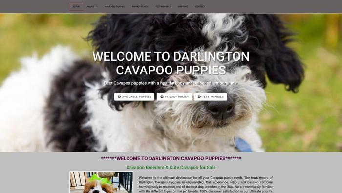 Darlingtoncavapoopups.com - Cavapoo Puppy Scam Review