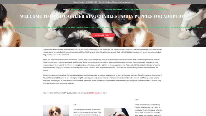 Davidkingcharlespuppies.com - Cavalier King Charles Spaniel Puppy Scam Review