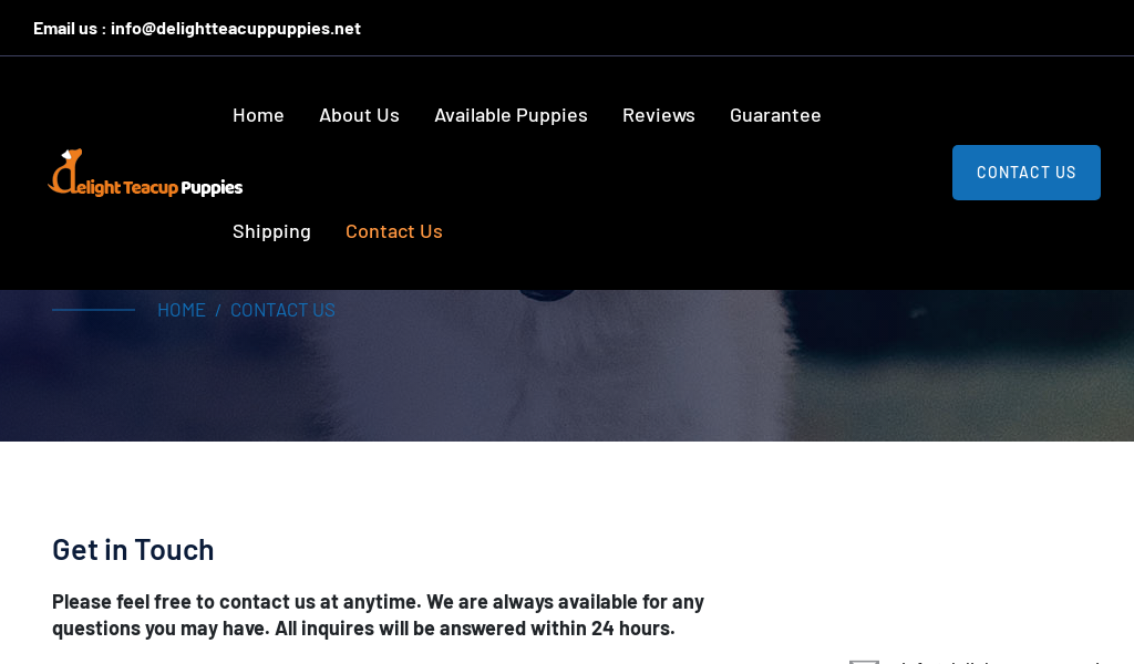 Delightteacuppuppies.net - Chihuahua Puppy Scam Review