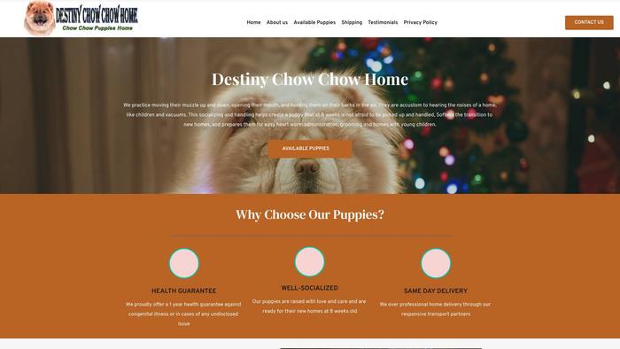 Destinuchowchowhome.com - Chowchow Puppy Scam Review