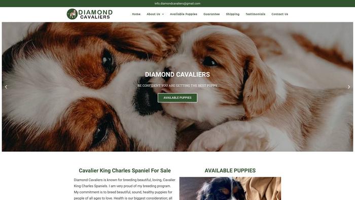 Diamondcavaliers.com - Cavalier King Charles Spaniel Puppy Scam Review