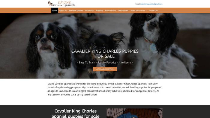 Divinecavalierspaniels.com - Cavalier King Charles Spaniel Puppy Scam Review