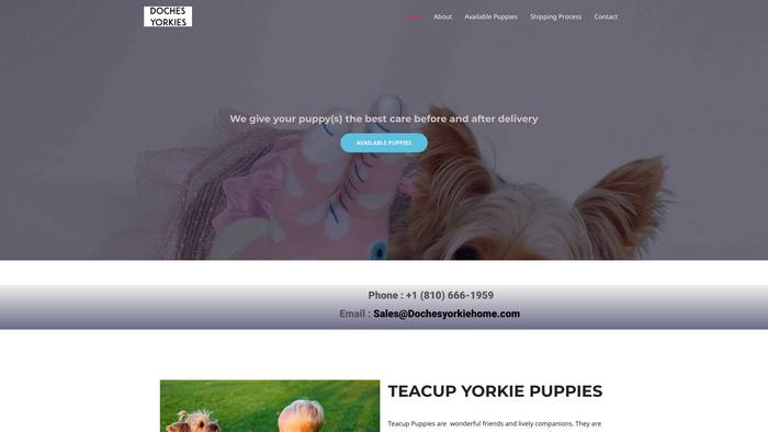 Dochesyorkiehome.com - Yorkshire Terrier Puppy Scam Review