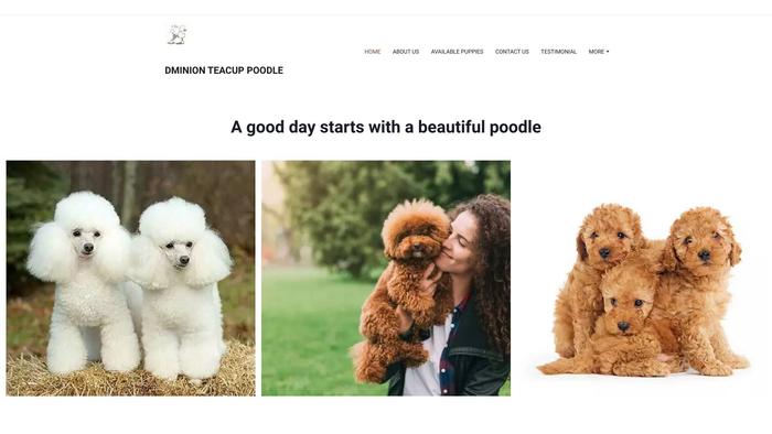 Dominionmiaturepoodle.com - Poodle Puppy Scam Review