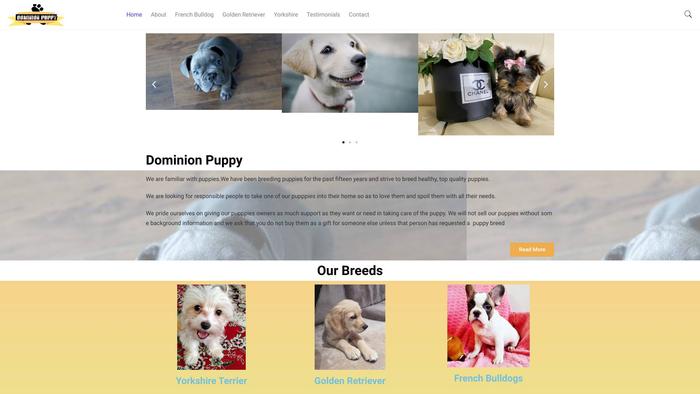 Dominionpups.com - Golden Retriever Puppy Scam Review