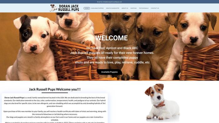 Doranjackrussellpups.com - Jack Russell Terrier Puppy Scam Review