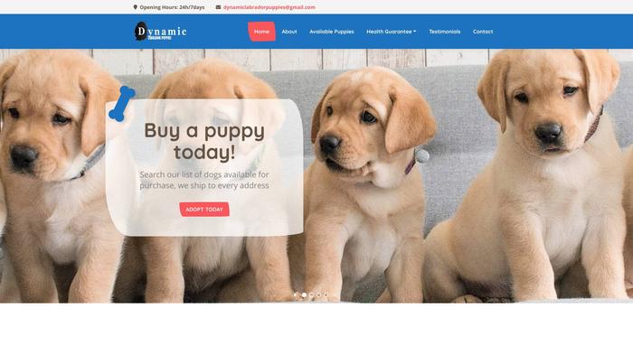 Dynamiclabradorpuppies.com - Labrador Puppy Scam Review