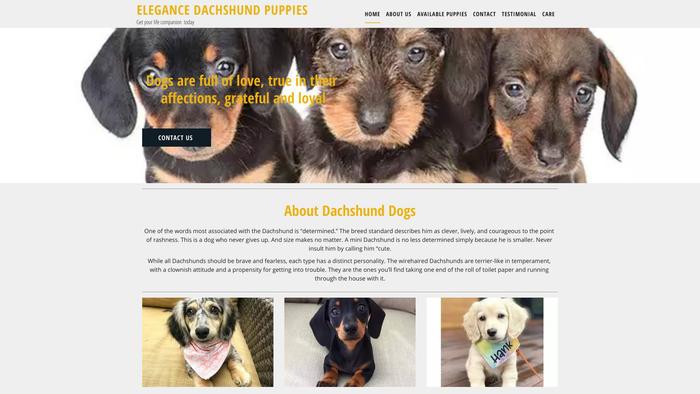 Elagancedachshundpuppies.com - Dachshund Puppy Scam Review