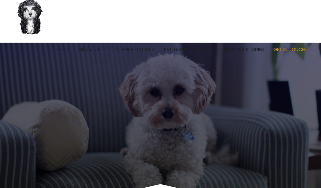 Elitecavapoo.com - Cavapoo Puppy Scam Review