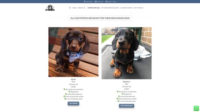 Eliteminidachshunds.com - Dachshund Puppy Scam Review