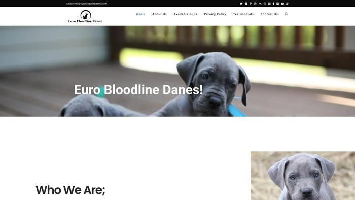 Eurobloodlinedanes.com - Great Dane Puppy Scam Review