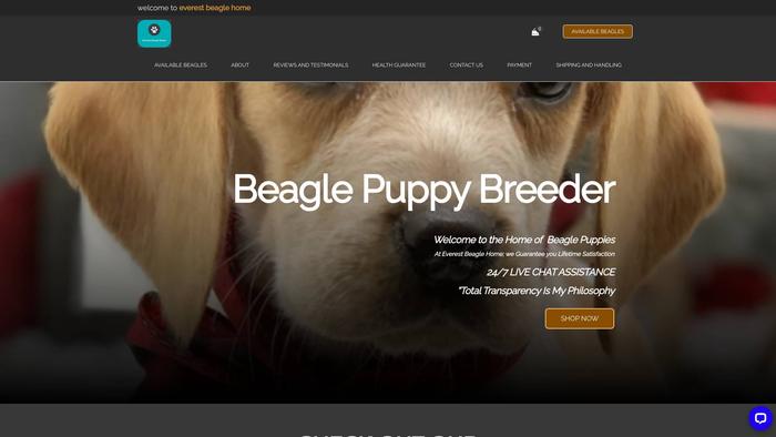 Everestbeagles.com - Beagle Puppy Scam Review