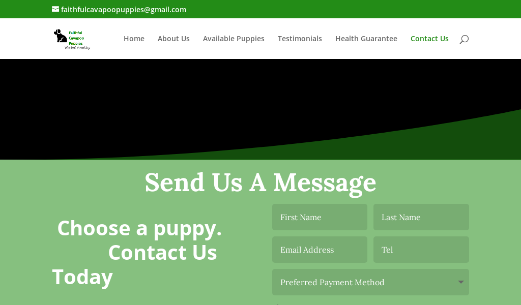 Faithfulcavapoopuppies.com - Cavapoo Puppy Scam Review