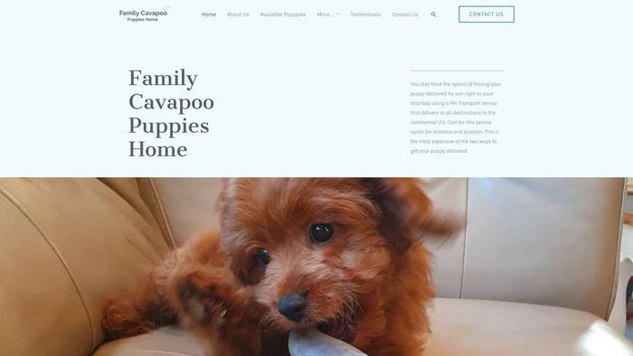 Familycavapoopuppieshome.com - Cavapoo Puppy Scam Review