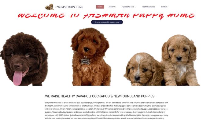 Fashmanpuppyhome.com - Cavapoo Puppy Scam Review