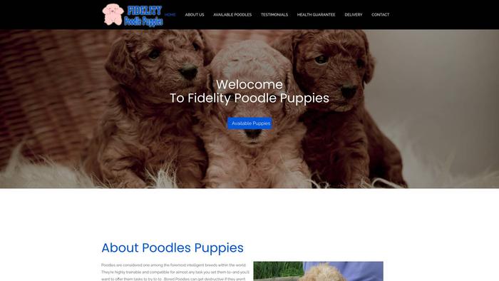 Fidelitypoodlepuppies.com - Poodle Puppy Scam Review