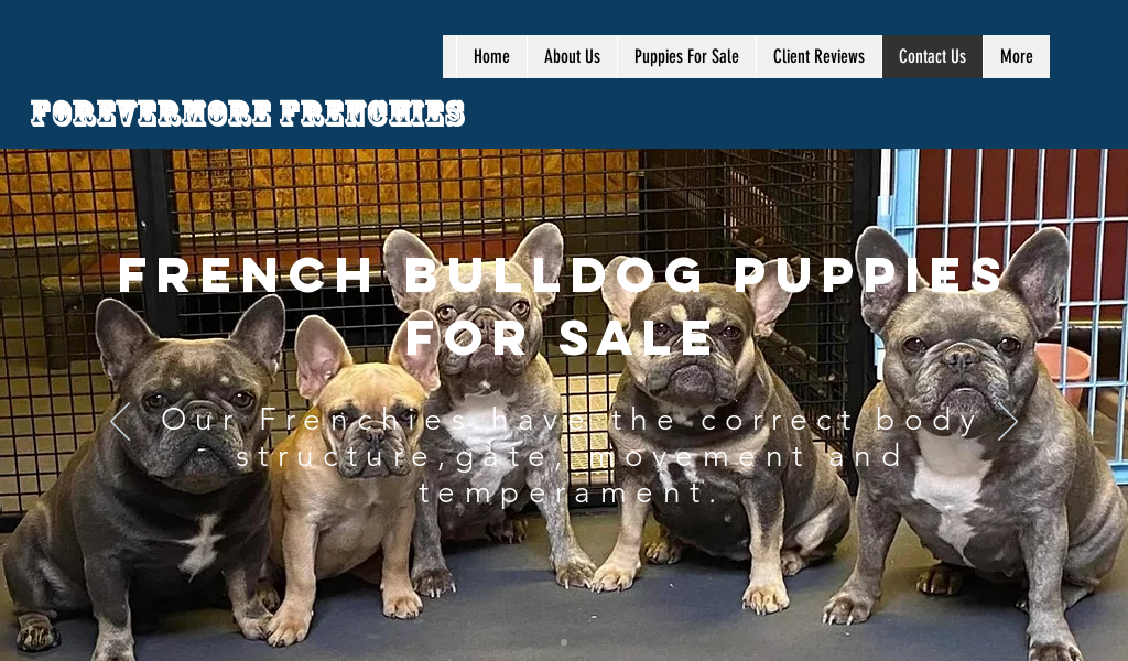 Forevermorefrenchies.com - French Bulldog Puppy Scam Review