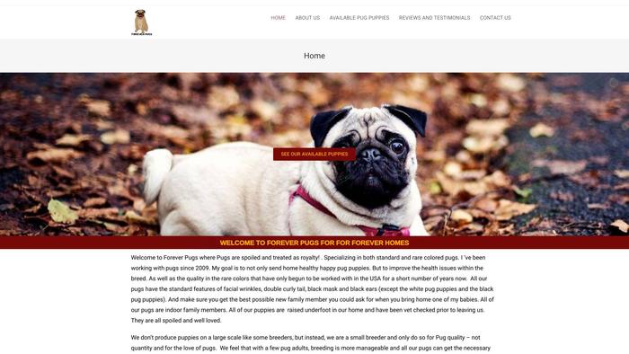 Foreverpugs.com - Pug Puppy Scam Review