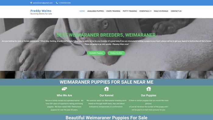 Freddyweimaranerhome.com - Weimaraner Puppy Scam Review