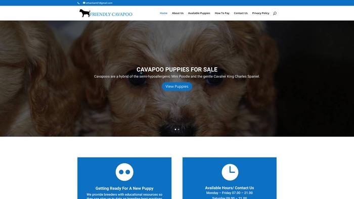 Friendlycavapoo.com - Cavapoo Puppy Scam Review