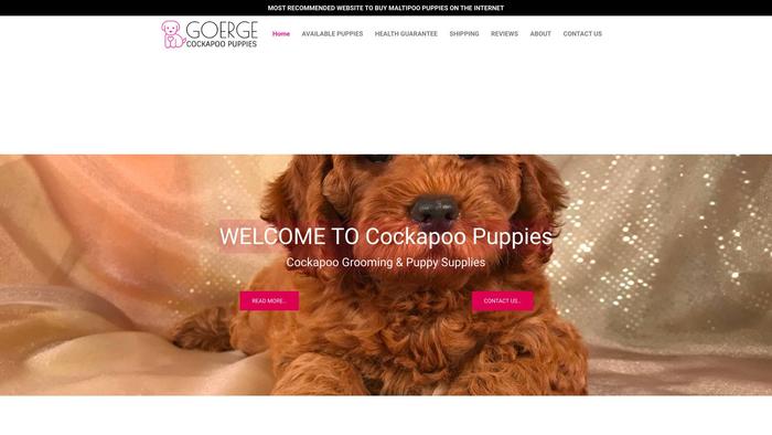 Georgecockapoopuppies.com - Cockapoo Puppy Scam Review