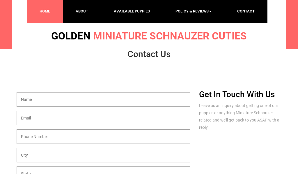 Goldenminiatureschnauzerpuppies.online - Schnauzer Puppy Scam Review