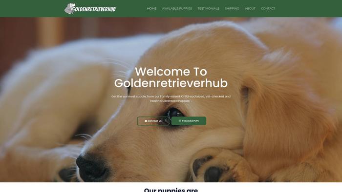 Goldenretrieverhub.com - Golden Retriever Puppy Scam Review