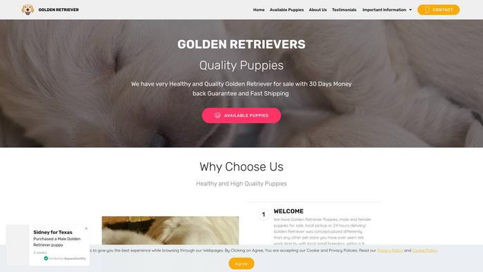 Goldenretrieverpuppiessforsale.com - Golden Retriever Puppy Scam Review