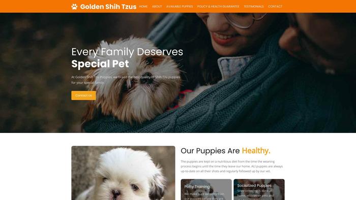 Goldenshihtzupuppies.com - Shihtzu Puppy Scam Review