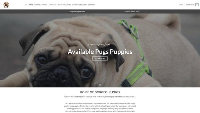 Gorgeouspugsfarm.com - Pug Puppy Scam Review