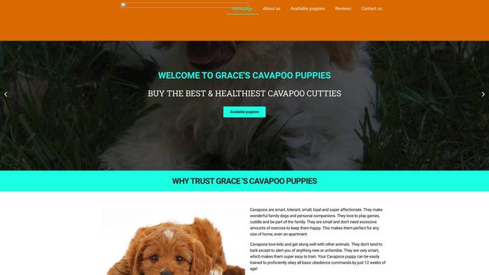 Gracecavapoopuppies.com - Cavapoo Puppy Scam Review