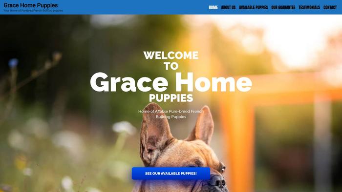 Gracehomepuppies.com - French Bulldog Puppy Scam Review