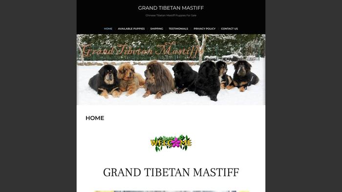 Grandtibetanmastiff.com - Tibetan Mastiff Puppy Scam Review