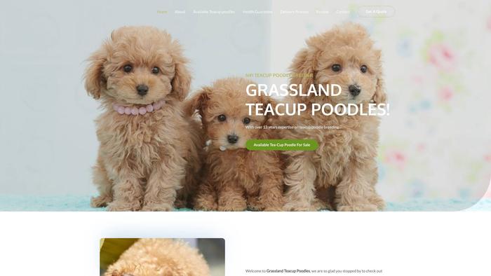 Grasslandteacuppoodles.com - Poodle Puppy Scam Review